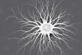 a cluster of neuron floats and branches out with axons and dendrites of cells in the brain\'s outer layers.