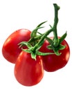 Cluster of plum Roma tomatoes, path Royalty Free Stock Photo