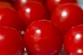 Cluster of red cherry tomatoes Royalty Free Stock Photo