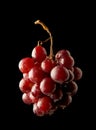 Cluster of red fresh grapes over black background Royalty Free Stock Photo