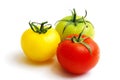 Cluster of red yellow and green tomatoes