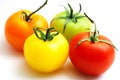 Cluster of red yellow orange and green tomatoes Royalty Free Stock Photo