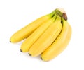 Cluster of ripe baby bananas on white