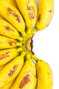 Cluster of ripe delicious baby bananas on white background Royalty Free Stock Photo