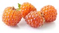 Juicy Salmonberry Close-up: Fresh Ripe Berries on White Background Royalty Free Stock Photo