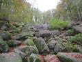 Cluster of rocks in Hessia Royalty Free Stock Photo