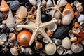 a cluster of seashells collected from a beach Royalty Free Stock Photo