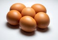 A cluster of six brown chicken eggs on a white surface Royalty Free Stock Photo