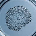 A cluster of small, clear bubbles appears suspended in a transparent liquid within a shallow dish, Royalty Free Stock Photo