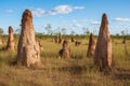 cluster of termite mounds of varying sizes