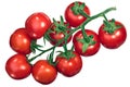 Cluster of tomatoes on the vine tov, top Royalty Free Stock Photo