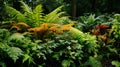 A cluster of vibrant ferns with intricate fronds in a woodland setting