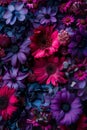 Purple and Red Flower Bunch Royalty Free Stock Photo