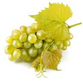 Cluster white grapes with leaf Royalty Free Stock Photo