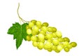 Cluster of Yellow Grape with Ellipsoid Berries Vector Illustration