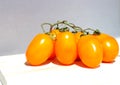 Cluster yellow tomato