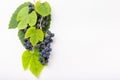 Clusters of blue grape with leaves on white background. Food background. Top view, copy space Royalty Free Stock Photo