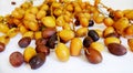 Clusters Of Brown and Yellow Fresh Dates. Royalty Free Stock Photo