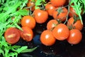 Cherry tomatoes and arugula on a black plate Royalty Free Stock Photo