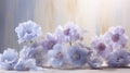 Clusters of lavender daisies, evoke a sense of rustic charm Royalty Free Stock Photo