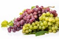 Clusters of white and pink grapes and grape leaves on a white background. Royalty Free Stock Photo