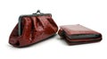 Clutch bag and wallet Royalty Free Stock Photo