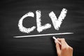 CLV Customer Lifetime Value - prognostication of the net profit contributed to the whole future relationship with a customer,