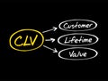 CLV Customer Lifetime Value - prognostication of the net profit contributed to the whole future relationship with a customer, text