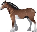 Clydesdale Horse, Stalion Galop , Animal - Vector Illustration