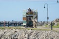 Clydesdale and Horse Drawn Tram, Granite Island, South Australia