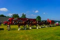 Clydesdale Horse Team Royalty Free Stock Photo