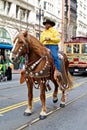 Clydesdale at San Francisco St Patrick's Parade