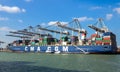 CMA CGM Container ship being loaded by gantry cranes in the ECT Shipping Terminal in the Port of Rotterdam. The Netherlands - Royalty Free Stock Photo