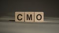 CMO Chief Marketing Officer written on wooden cubes