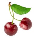 Cmposition of two cherries. Clipping path, isolated on white background Royalty Free Stock Photo