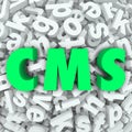 CMS Content Management System 3d Letters Word Acronym