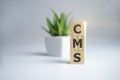 CMS Custom Management System written on a wooden cube on light background Royalty Free Stock Photo