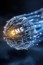 Cms platform model: digital structure, content interface, data module, website framework, system portal, media Royalty Free Stock Photo