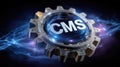 Cms platform model: digital structure, content interface, data module, website framework, system portal, media Royalty Free Stock Photo