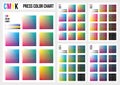 CMYK press color chart. Vector color palette, CMYK process printing match. Color management, quality control in print production. Royalty Free Stock Photo