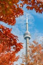 CN Tower with lovely red maple leaves