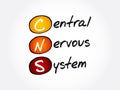 CNS - Central Nervous System acronym, concept background