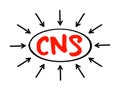 CNS - Central Nervous System is the part of the nervous system consisting primarily of the brain and spinal cord, acronym text