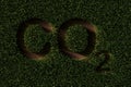 CO2, carbon dioxide, symbol cut out from grass background, ecology, environment or sustainability concept on brown soil Royalty Free Stock Photo