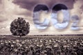 CO2 concept image against a dramatic cloudy sky over a sunflowers field with a lone tree Royalty Free Stock Photo
