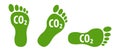 CO2 ecological footprint symbols green eco icons