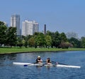 Co-ed Tandem Rower On Lincoln Park Lagoon #1