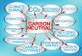 CO2 Net-Zero Emission layout concept with a descriptive scheme