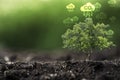 CO2 reducing icon with tree on greenery background for decrease CO2 , carbon footprint and carbon credit to limit global warming Royalty Free Stock Photo