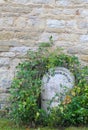 The Coach House Buckingham Stone Overgrown With Green Leaves Vines With Stone Wall